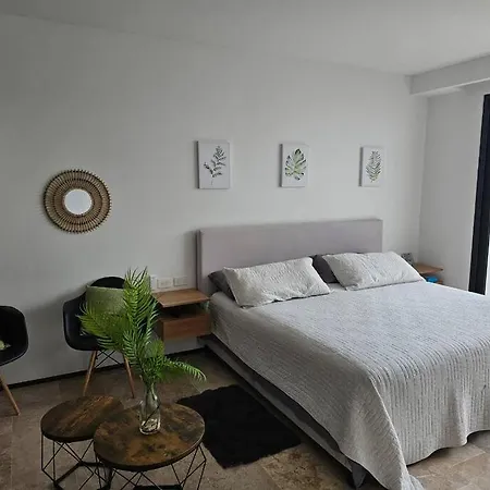 Departamento Quinta Avenida Apartment